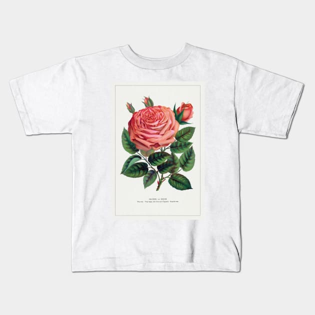 Pink Rose, Glorie de Dijon Lithograph (1900) Kids T-Shirt by WAITE-SMITH VINTAGE ART